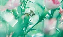 形容小孩子天真开心的句子