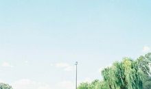 优美的开心的句子