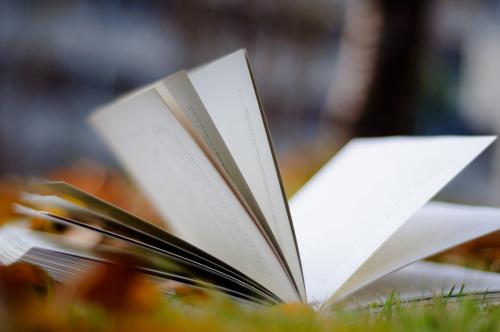 12.我的眉毛弯曲得像镰刀一样。一双黑色的大眼睛看着人，红红的嘴唇就像戴口红。