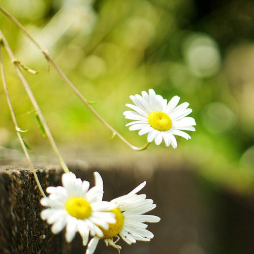 10.在那一瞬间，我发现世界上所有的母亲都很容易被欺骗和满足！那一刻，我忍不住哭了。