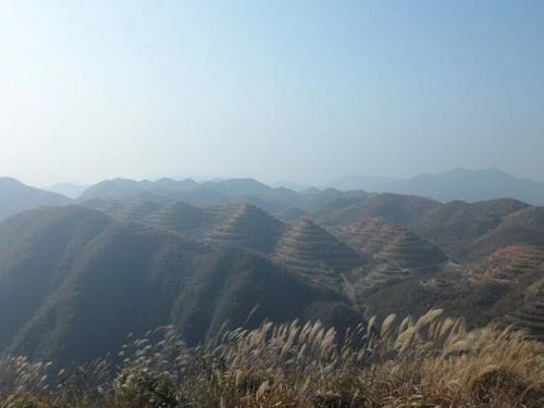 12.家庭感情可以使岁月所掩盖的情感和尘土也散发出生命的光彩。