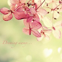 10.亲情是长白山顶上的积雪，古朴却永恒。亲情是底格里斯河的水流，柔软但长久。