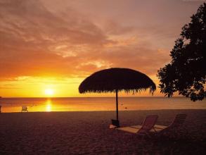 11.家庭之爱就像阳光一样，即使在寒冷的冬天也能让您感受到春天的温暖