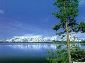 10.家庭感情就像风，可以帮助您起航并走向成功；