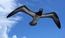 早会口号八个字