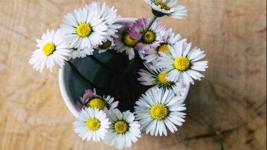 10.我不介意等你，只要你是最后一个等