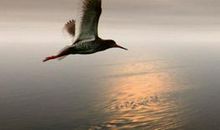 关于自信的励志句子