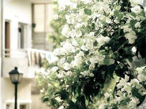 11.一旦我们追逐目标并忽略了它的存在，直到有一天我们才知道方向