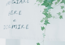 10.得知父亲终于同意上学，莱西将柳叶放在他的嘴里，学会了一些黄莺的叫声，学会了一些画眉，然后背着一个崭新的书包逃跑了。