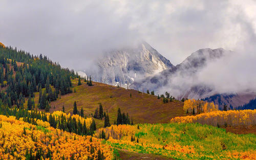 11.不是您不放弃或不放弃。 