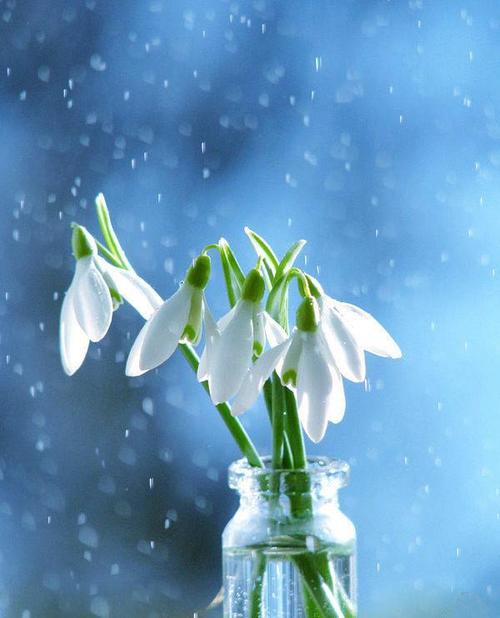 10.家是港口。如果您走的很远，您将自然返回。您居住的港口。家是要依靠的。当您累了时，您将躺下并沉入柔软的床中，并深深地喝醉。家是人类永恒的栖息地