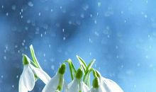 关于亲情在远方的句子