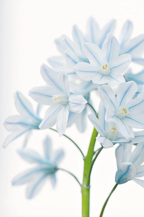 11.在成千上万的梦里，对我的亲戚来说这是密不可分的。我想念天上的亲戚，也想念远方的亲戚。