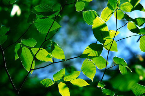 11.每个人一生都有一段时期。没有什么可错过的，只有无法压抑的梦想，没有可依靠的，只有他的好身体，没有可去的地方，只有在徘徊。