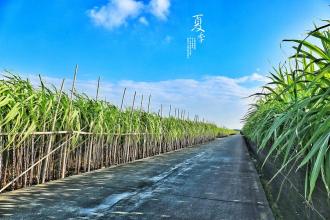 10.关于旅行，我从未记得过。我不记得我去过哪里，看到的风景以及遇见的人。尽管我的同学说旅行并不关乎记忆，但关乎当时的心情。但是旅行时我的情绪总是好吗？我一直都有写日记的习惯，但是当我从旅行中回来时，我没有费心写日记来记录下来。这表明我内心旅行多么冷漠。