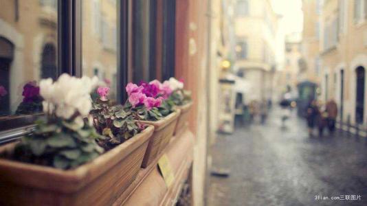 10.在这个温暖的日子里，灿烂的微笑，微风拂面，亲切的问候和衷心的祝福。