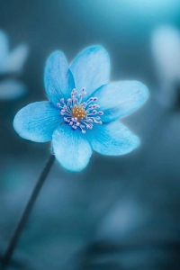 11.家庭之爱是一碗心灵的鸡汤,照顾受伤的心灵;