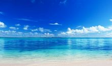 祝天天开心的句子