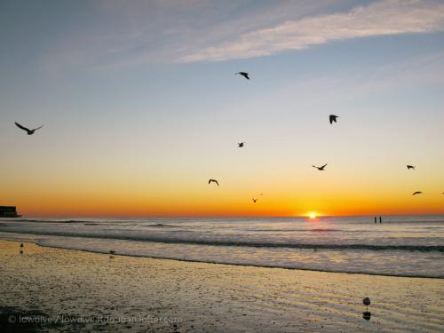 10.现在，炒作被称为中介人。