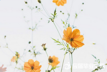 11.伏击来了，我将率领西部的“酷派”军队对您进行一次偷袭：东方的酷派，西方的酷派，南方的酷派和北方的酷派。您已经与火隔离，并处于一个凉爽的状态。小心感冒！