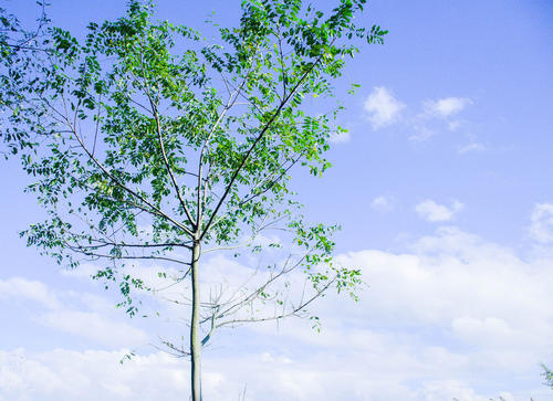 10.如果您对当前拥有的一切不满意，则拥有更多时可能会不满意。