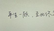 遇见你不后悔的句子