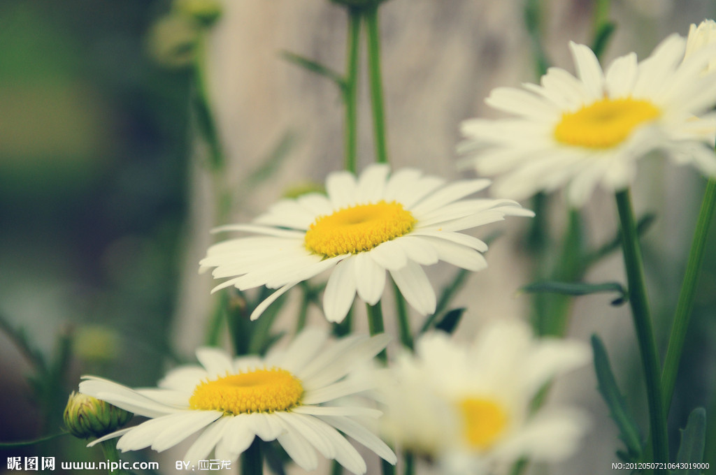 9.无论是贫穷还是财富，疾病还是健康，我将永远与你在一起，即使死亡也无法使我们分开！感谢您多年来照顾我。 10.让我们满怀感激地面对生活，向所有关心我们的人敞开微笑！