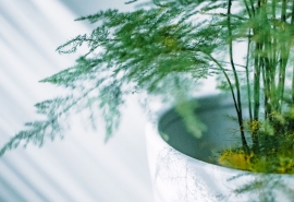 12.有人说，使自己快乐的最好方法是首先使别人快乐。