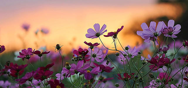 10.我最不喜欢悲伤，感叹和痴迷。当我高三的时候，是时候让我一个人独处了。在最后一个假期，当我回家见父亲时，我所有人都开始出来。