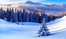 形容开心的前进的句子