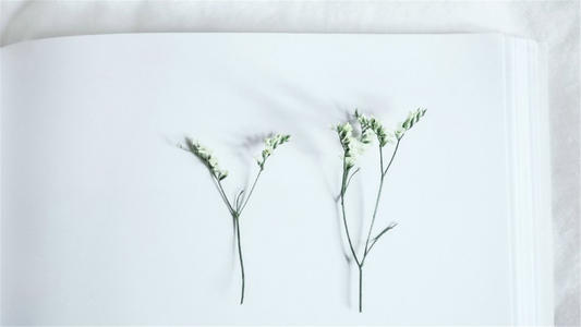 10.大脑的智慧突然扩大了我的脸；经济的腹部还活着使我的啤酒肚鼓起来。