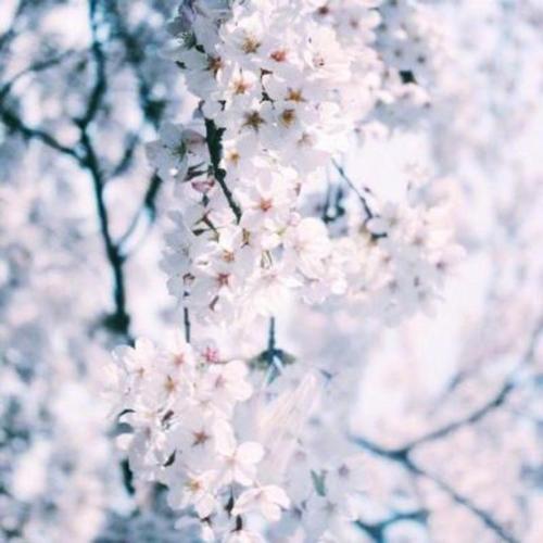 12.它不会使我们兴奋,但会使我们安静。它不会给我们带来难忘的经历,但是它将始终为我们提供必不可少的营养。