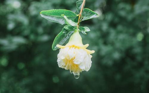 12.父母和平度过暮光之城，这是子女的孝道。我欠了太多，对不起父母。