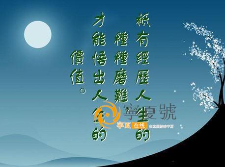 关于挫折的名言