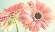 亲情游玩快乐的句子