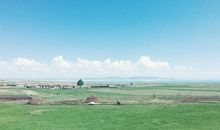 表扬朋友是开心果的句子