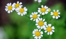 写离别亲情的句子