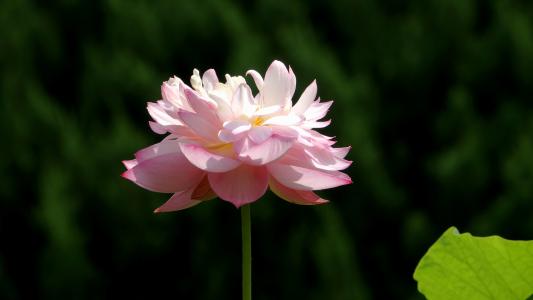 12.对于年轻人来说，旅行是教育的一部分；对于老年人来说，旅行是体验的一部分。旅行是年轻人教育的一部分，旅行是老年人体验的一部分。