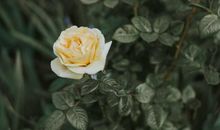 寒假万里行开心的句子