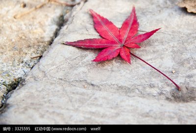 12.如果您收到滴水的恩惠，则应在春季偿还。感激，真是一个有趣的词！感激是在获得利益并向他人展示之后的感激之情。