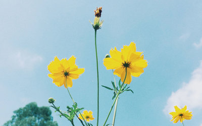 11.什么是家庭感情？当我们伤心时，亲情让我们看到阳光