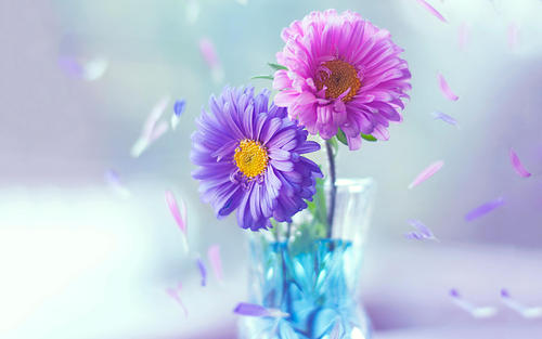 10.不管家人，友情和爱情如何，都不要浪费时间，而要让让你不开心的人离开。