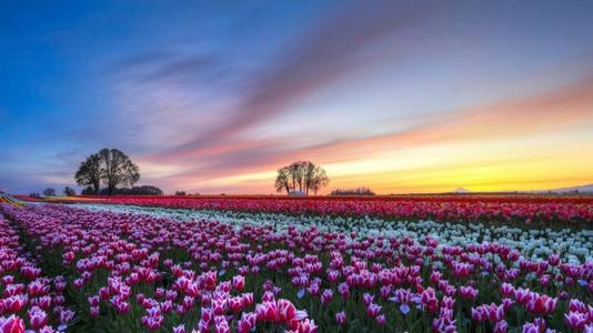 10.遇到紧急情况时要放慢脚步，不要脾气暴躁；遇到困难时，考虑一下，少叹一口气；遇到困难时，要有耐心，少哭。无论何时，有您与您相伴，祝您幸福！