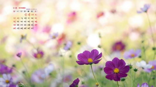 11.任何使您消耗过多能量的关系都不值得继续。良好的人际关系融洽，可以使自己成为自己，而不必保持审慎，不被不断消耗，那些使您不快乐的人应该早点离开。说“再见，我比你更快乐。”