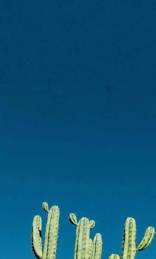 10.家庭是一个宁静的港口，春风柔和而平静。祝你们新建的家庭幸福快乐，也愿你们两个永远同行。