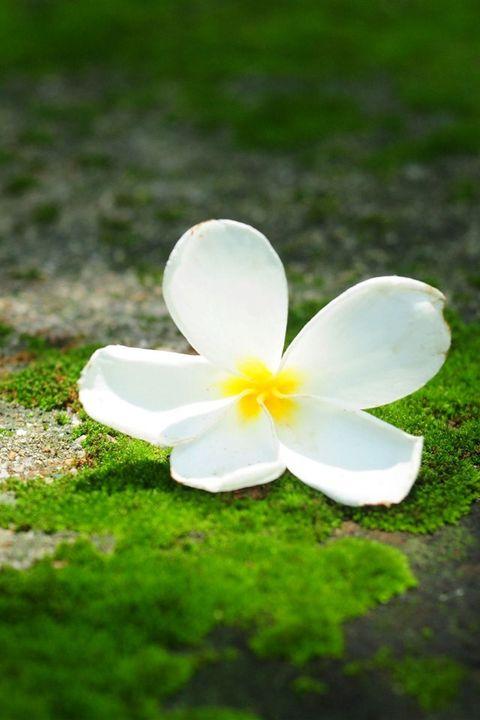 12.当我们不再上学，不再有寒假和暑假时，当我们不再有时间陪伴父母时，当我们觉得应该陪伴他们时，他们已经老了。