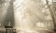 关于雾的优美句子