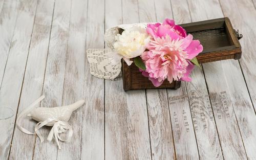 11.亲情是一种航行，它使我们能够越洋越洋。亲情是一座为我们遮挡冷光的建筑物。亲情是永恒的烟花，它照亮了我们的生活！