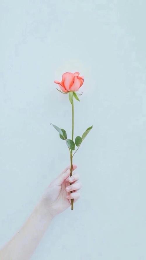 11.只有因为我们才能真正享受生活的恩赐，才能品尝生活的真相。记住幸福并保持幸福。