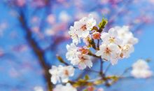 逗女朋友开心的幽默的句子经典语录